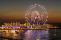 Private Dubai city tour & Ain Dubai Views Tour 5