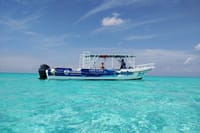 Cozumel El Cielo Sandbar and Reef Snorkeling Private Adventure  4