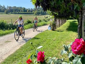 E-Bike Tour and wine tasting in Lazise Countryside