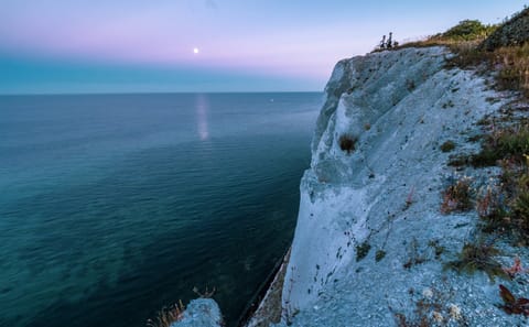 Denmark Nature — Custom Route (Private Experience)