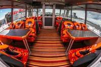 Half Day sailing to Magdlena Island Penguin Colony from Punta Arenas Season from October to March  7