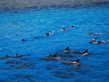 Boat Trip to Magawish Island from Hurghada with Snorkeling