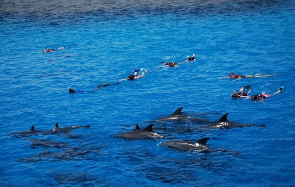 Boat Trip to Magawish Island from Hurghada with Snorkeling