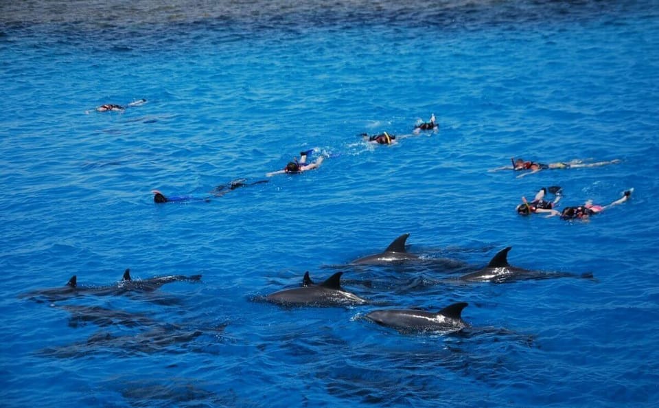 Boat Trip to Magawish Island from Hurghada with Snorkeling