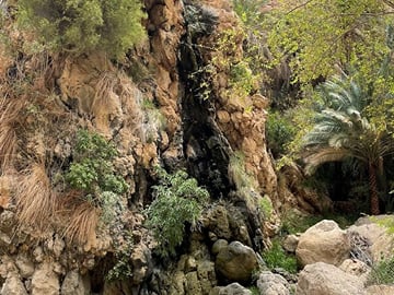 2-Day Adventure Tour in Ras Al Hadd, Oman