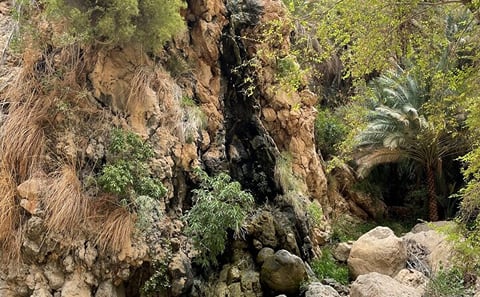 2-Day Adventure Tour in Ras Al Hadd, Oman
