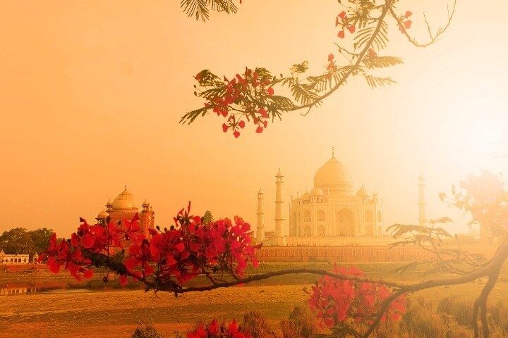 Private Tour from Delhi to Agra by Luxury Super Fast Train