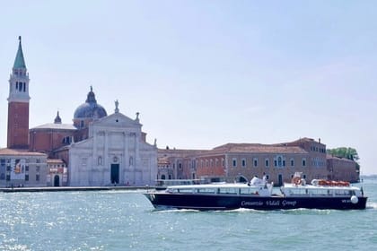 1-hour panoramic tour of Venice by boat