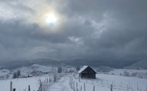Hiking Tour in Brașov, Holbav, and Poiana Marului