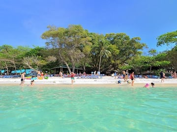 Coral Island