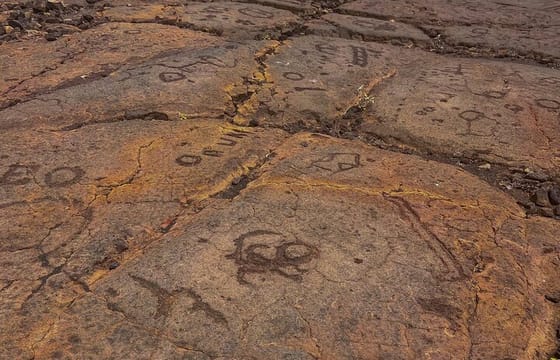 Private Big Island: History & Local Shopping Tour