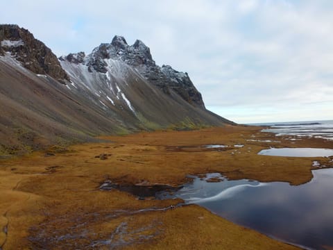 Private Tour from Djupivogur - The Eastfjord, photo 2