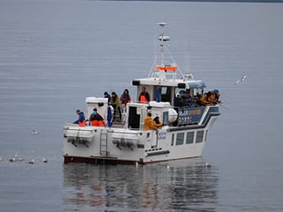 Reykjavik City Walk and Sea Angling, photo 15