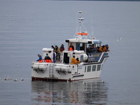Reykjavik City Walk and Sea Angling, photo 15