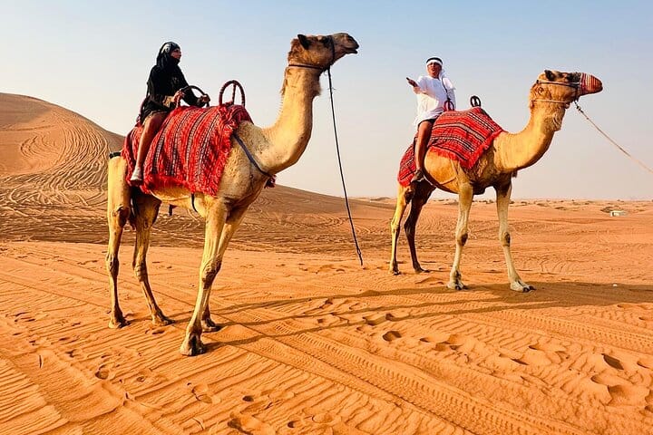 Dubai: Desert Camel Ride with Live Shows & BBQ Buffet Dinner 6