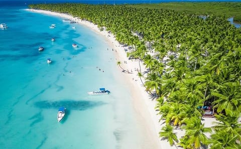 Saona Island Day Trip from Punta Cana with Lunch and Drinks