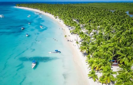 Saona Island Day Trip from Punta Cana with Lunch and Drinks