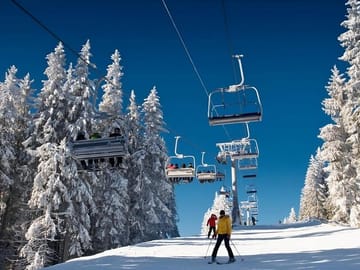 Private Bakuriani and Borjomi Adventure Day Tour