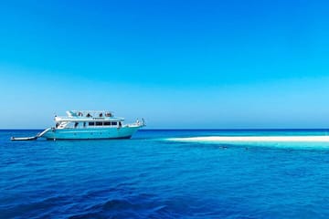 Snorkeling and Dolphin House Tour from Hurghada, Egypt