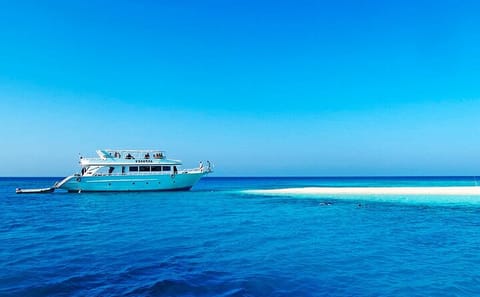 Snorkeling and Dolphin House Tour from Hurghada, Egypt