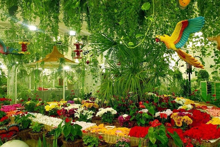  Dubai Butterfly Garden Admission Ticket 4