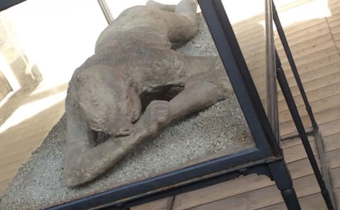 Pompeii and Ercolano Guided Tour from Naples with Lunch