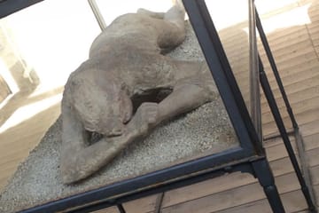 Pompeii and Ercolano Guided Tour from Naples with Lunch