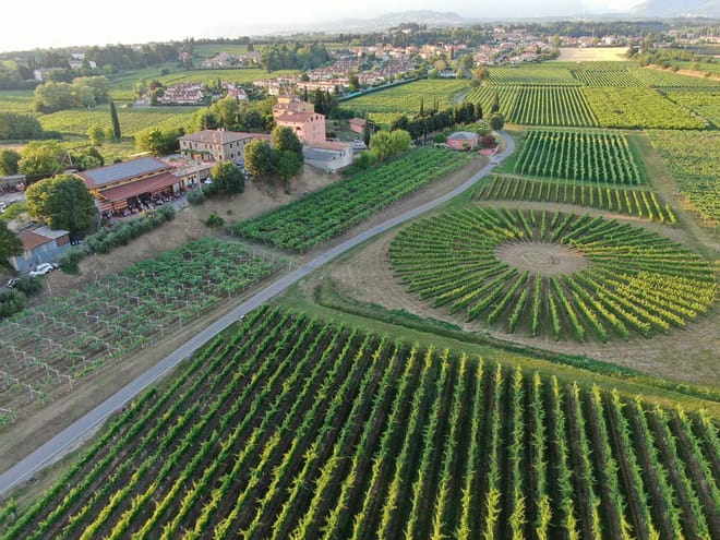 Winery Tour and Tasting of Garda Wines 6