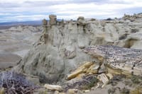 Discover La Leona Petrified Forest on this tour