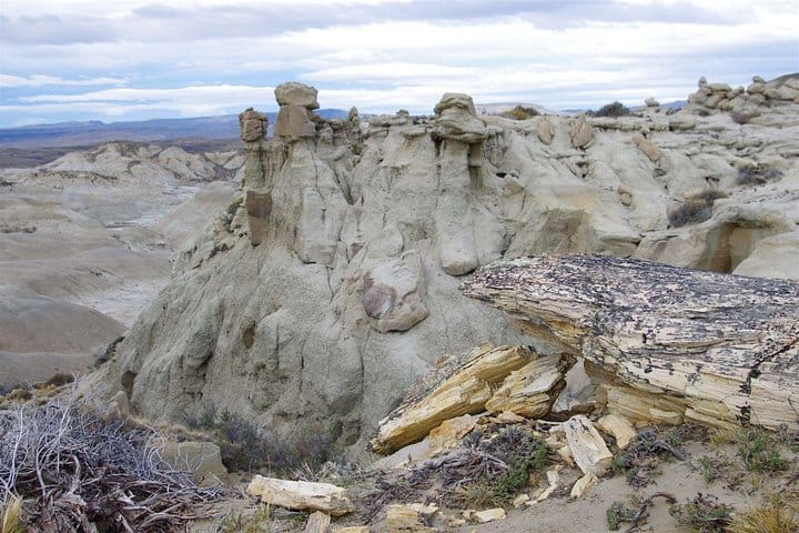 Discover La Leona Petrified Forest on this tour