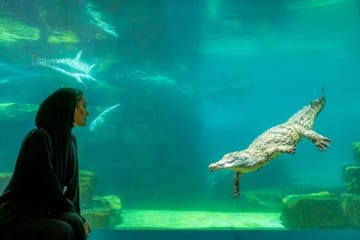 Dubai Crocodile Park Tour with Private Transfers Included