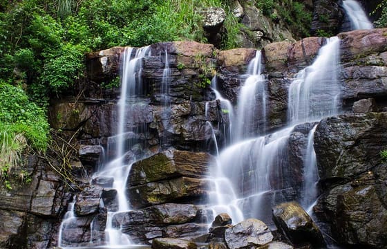 03 Day Nature Tour From Kandy ( Without Accommodation)