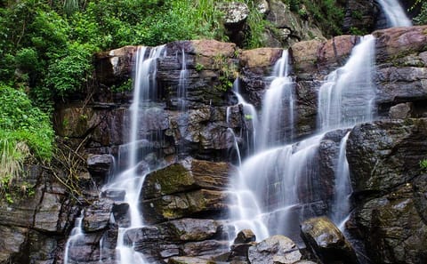 Three-Day Nature Adventure Tour from Kandy, Sri Lanka