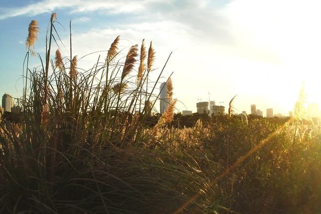 Discover Puerto Madero riding a bike!