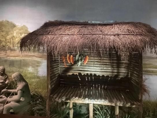 Thatched houses of primitive people