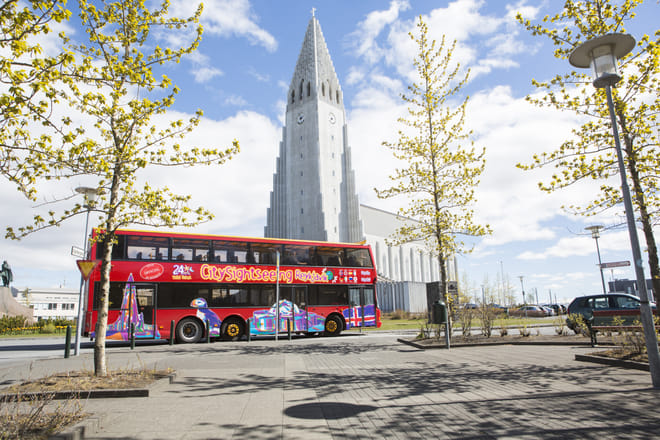City Sightseeing & Wonders of Iceland photo 3