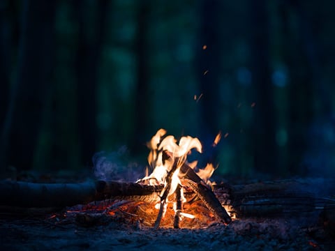 Aurora hunt with campfire, thermal suits & marshmallows, photo 13