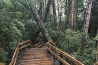 Bariloche: Puerto Blest, Cantaros Waterfall and Frias Lake 4