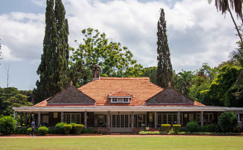 7 Days Kenya Luxury Safari Experience