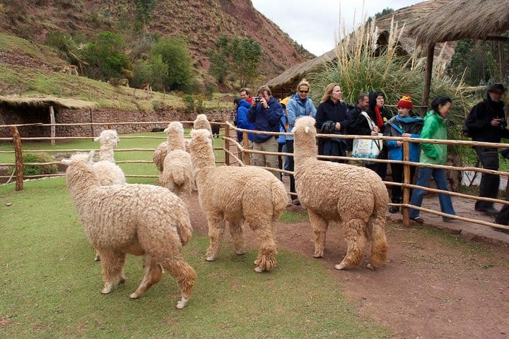 Cusco