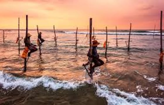 Make your honeymoon memorable with this romantic honeymoon package to Sri Lanka.