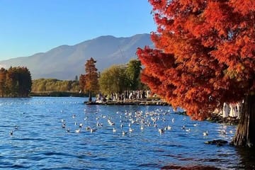 Private 7-Day Cultural Tour from Kunming to Dali and Lijiang