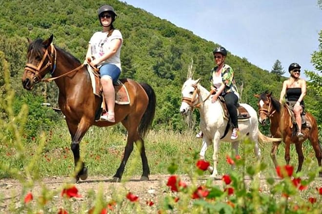 Horse Riding Tour in Kusadası with Friendly Horses and Instructor 8