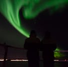 Whales & Auroras 7