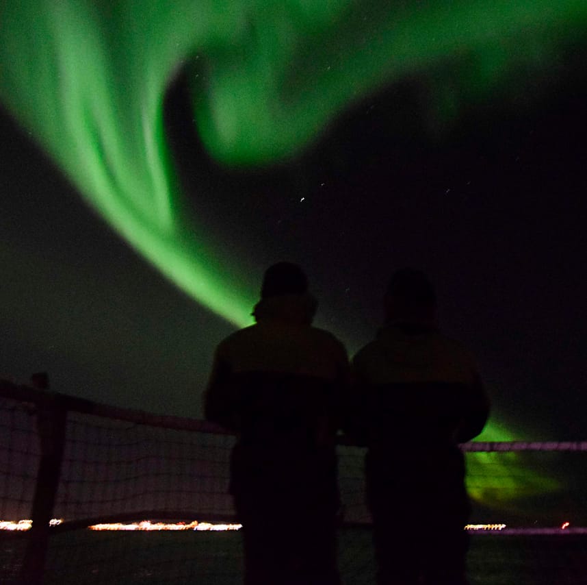 Whales & Auroras 7