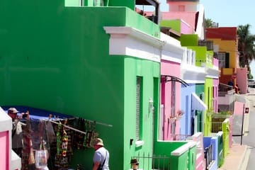 Cape Peninsula Private Tour Include Park Fees