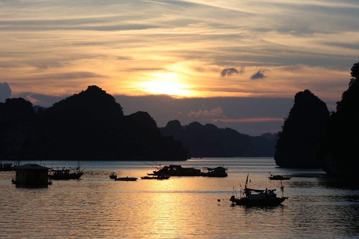 Vietnam Highlights: Explore Hanoi, Halong Bay, Hoi An & Ho Chi Minh City