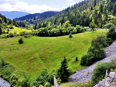 Authentic Traditions and Contemporary Science in the Rhodope Mountains