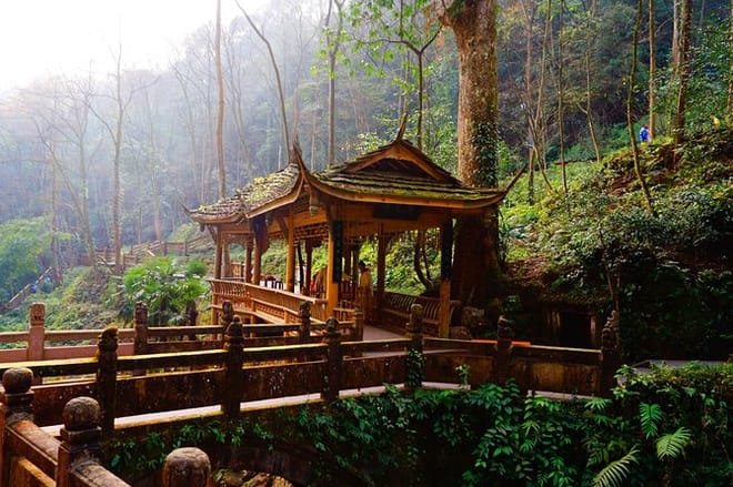 Private Tour to Dujiangyan & Mt Qingcheng from Chengdu 5