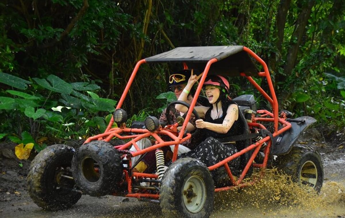 Roatán Shore Excursions: Wildlife + ATV/Buggy & Beach(1Beer/pp)